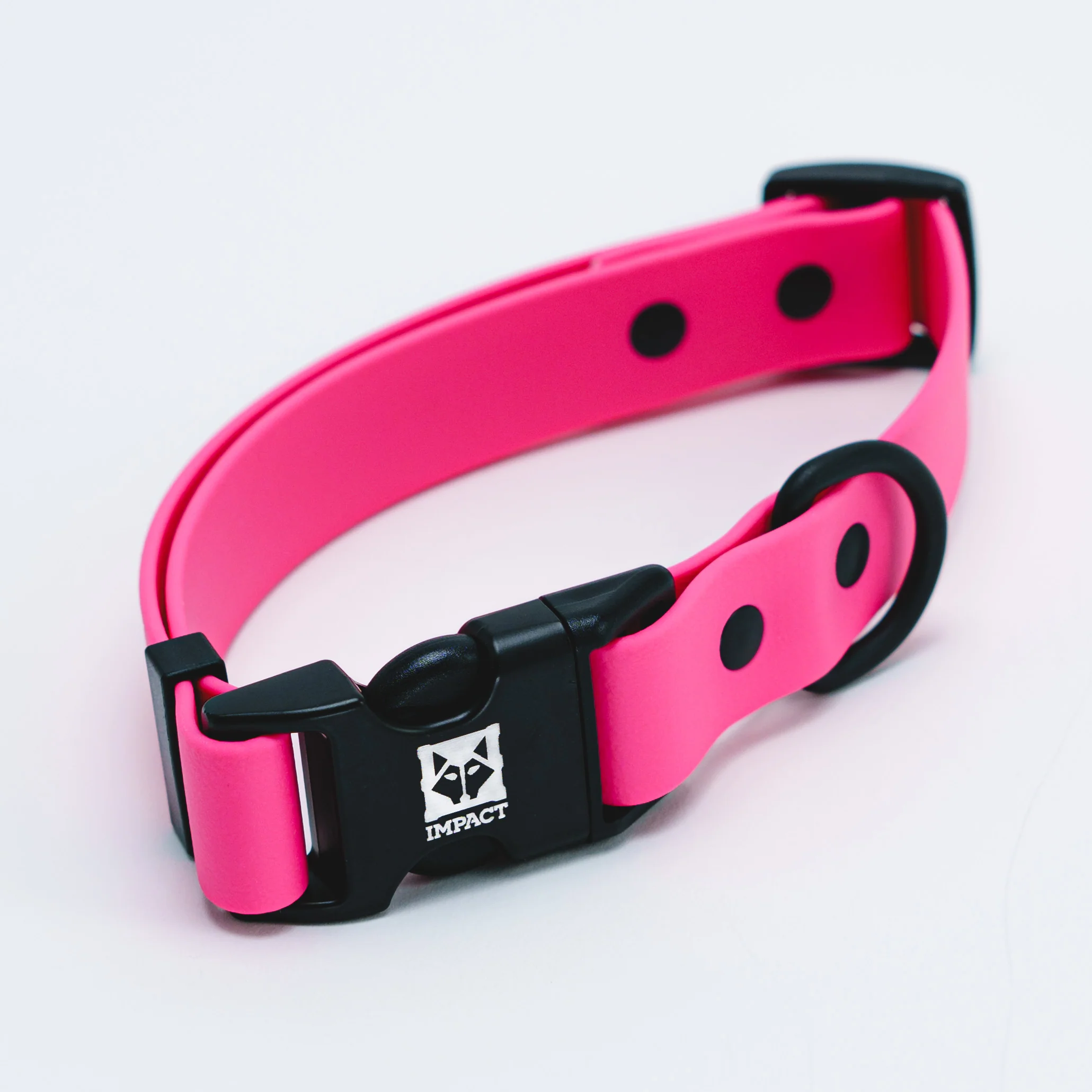 BioThane® Dog Collar - Image 3