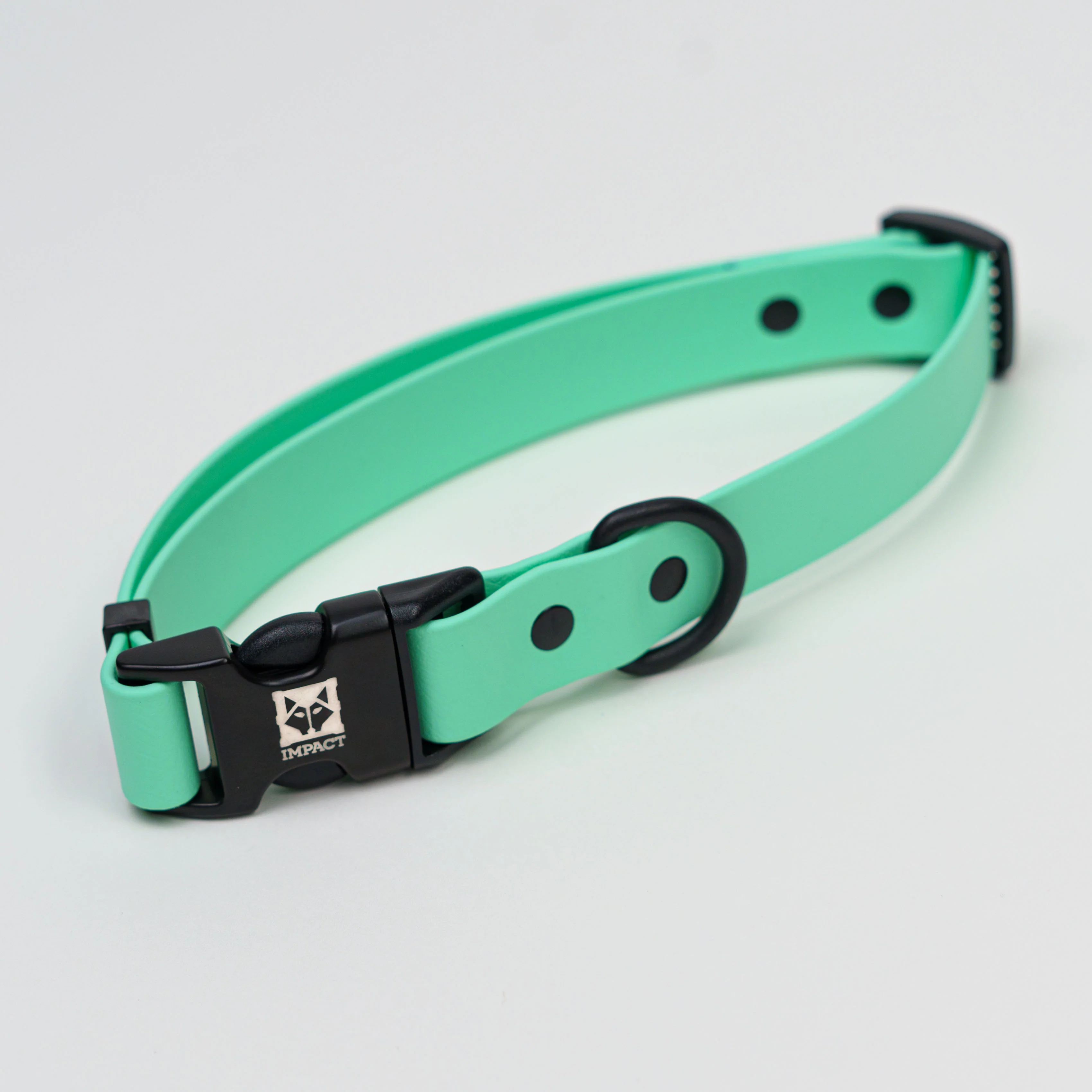 BioThane® Dog Collar - Image 6