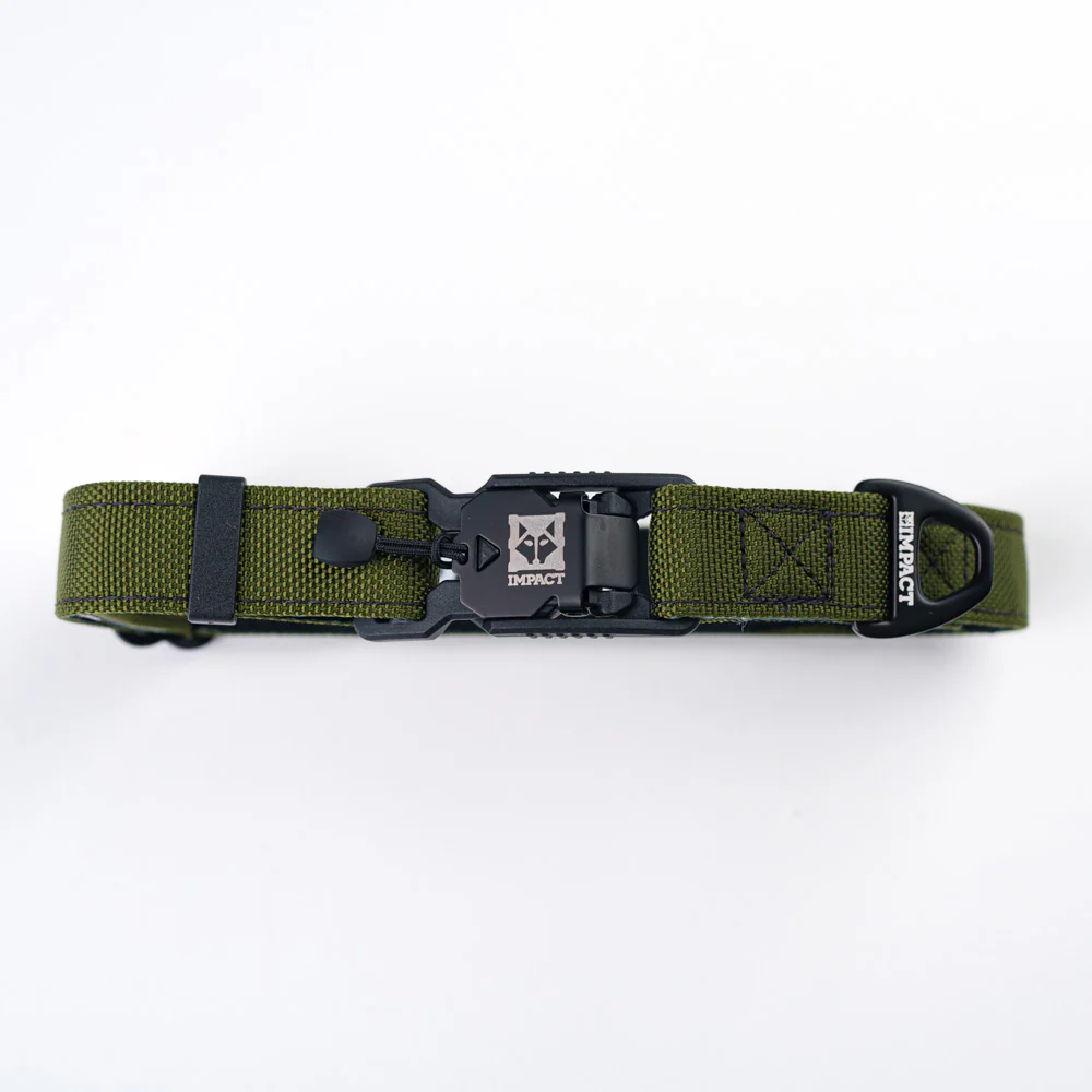 Ballistic Nylon Dog Collar - Image 3
